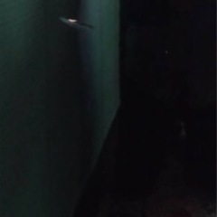 決まりました】FUKUYAMA＆SONS アップライトピアノお譲りします