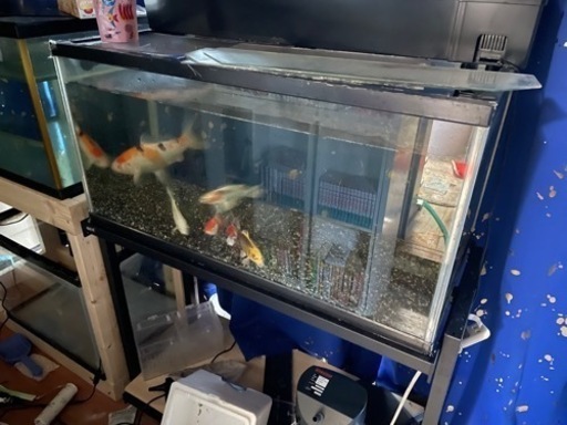 90センチ水槽セット