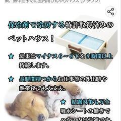 【決まりました】ペットハウスオアシス