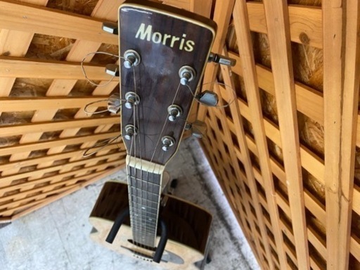 愛品館 江戸川店】Morris(モーリス)W-30 アコースティックギター ID