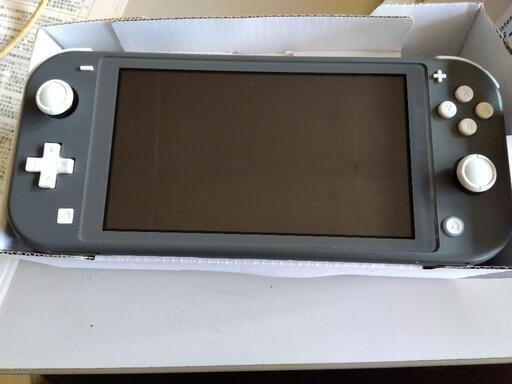 スイッチライト　グレー