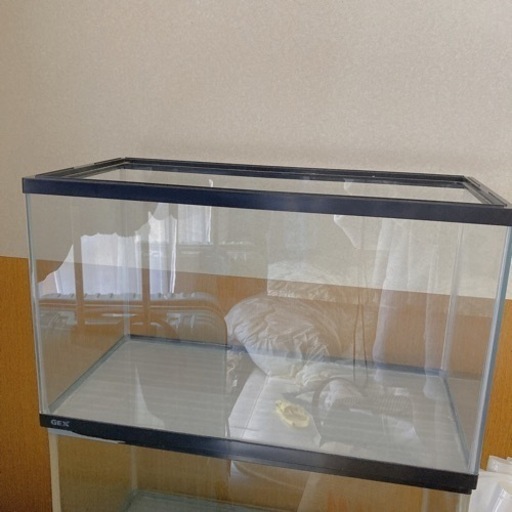 ⚠️取引中【美品】アクリル水槽/60cm/熱帯魚/爬虫類/小動物/飼育