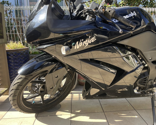NINJA 250【今週中引渡し6万引きます】急ぎ