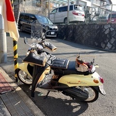 乗ってない時のスクーターバイク（115cc）貸します。（レンタル）