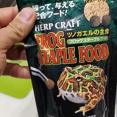 イエアメガエルが拒食を発症しています。