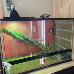 値下げしました！EXO TERRA    爬虫類ケージ　900×450×600