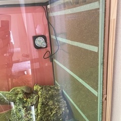 値下げしました！EXO TERRA    爬虫類ケージ　900×450×600