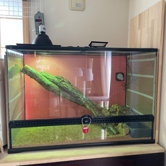 値下げしました！EXO TERRA    爬虫類ケージ　900×450×600