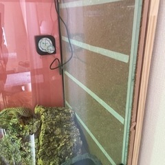 値下げしました！EXO TERRA    爬虫類ケージ　900×450×600