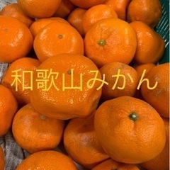 【在庫切れ】◯ご家庭用◯☆和歌山みかん☆中生・早生☆サイズ混合☆5kg