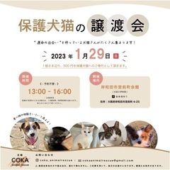 保護犬猫の譲渡会@大阪府岸和田市