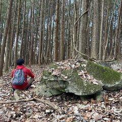 【成約済】山林物件112　広島県庄原市