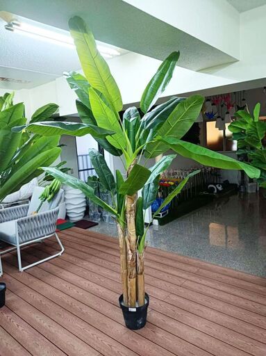 ⑥【訳あり】再値下げ！！新品 バナナツリー４本　現品限り！！　フェイクグリーン