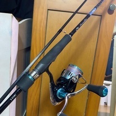 決まりましたエメラルダスエギングセット