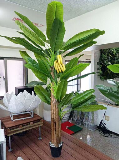 ⑦【訳あり】再値下げ！！新品 バナナツリー3本＋バナナ　現品限り！！フェイクグリーン