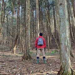 【成約済】山林物件113　広島県庄原市東城町②