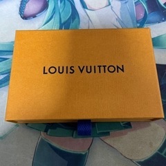 Louis Vuitton のケース