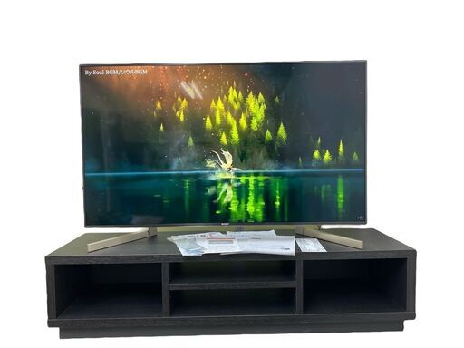 ⚫︎美品⚫︎SONY BRAVIA 4K液晶テレビ 49型⚫︎