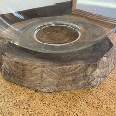 希少 ガラスドーム 古道具 ビンテージ アンティーク 古家具