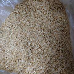 エサ用玄米 約7.5kg 令和３年度当麻産