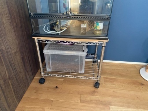 GEX 爬虫類 ケージ おまけ有り