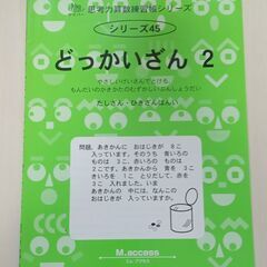 思考力算数練習帳シリーズ どっかいざん2 小学生のドリル