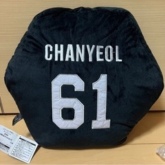 EXO CHANYEOL クッション