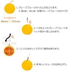 ジュースマシン搾り カジュッタ専用芯抜き器 