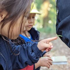 東京都心にあるユニークな森の幼稚園