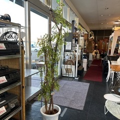 展示品フェイクグリーン