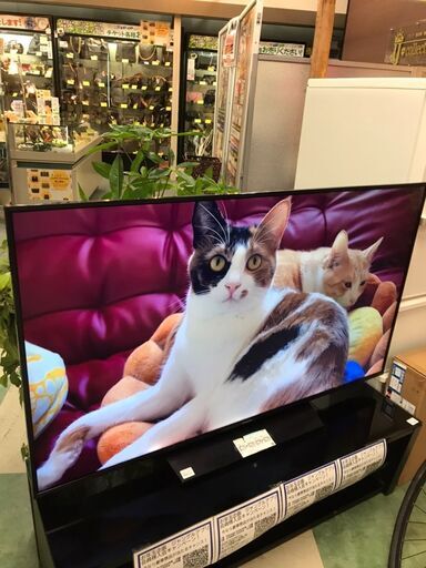 パナソニック　4K対応液晶テレビ　TH-55GX850　55型　2019年製　チェック済　貝塚市　二色浜