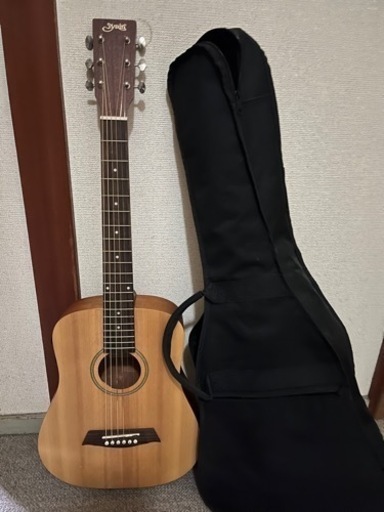 ギター Sysin