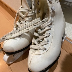 【ネット決済】スケート靴　19センチ