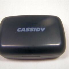 ☆CASSIDY P12 Bluetoothステレオワイヤレスイ...