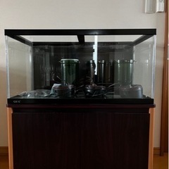 再再値下げ】GEX 90×45×45水槽とキャビンその他