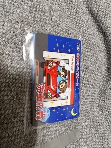 2月末までの募集 洗車の森 洗車カード 25000円分（5000円×5枚）