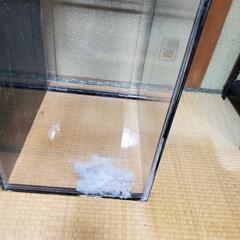 綺麗め100cmアクリル水槽