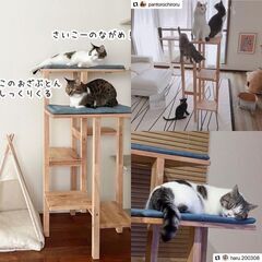 キャトハス　キャットタワー ステップ　アウトレット品