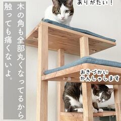 キャトハス　キャットタワー ステップ　アウトレット品