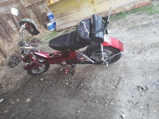 実働!!ホンダ シャリー 自賠責令和５年５月まで付いてます 実働!!ホンダ シャリー 自賠責令和5年5月まで付いてます