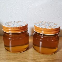 日本ミツバチの蜂蜜　1gにつき5円