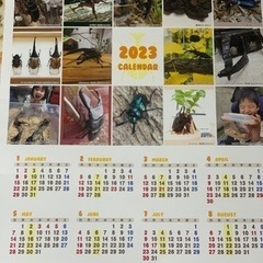 （こちら決まりました）カブトムシ・クワガタ　カレンダー2023年版