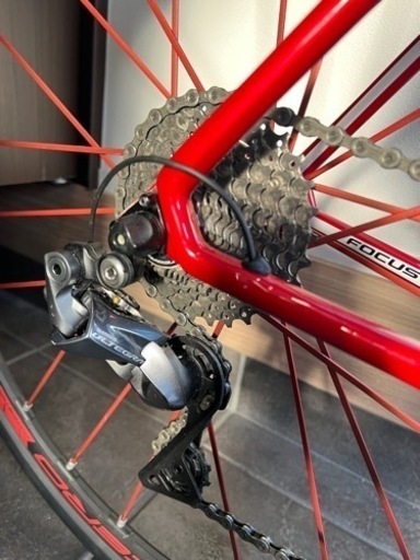 520mm サイズ 2019年式 focus izalcomax 電動ULTEGRA