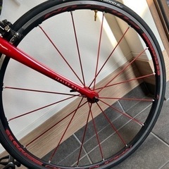 520mm サイズ　2019年式　focus izalcomax 電動ULTEGRA