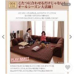 ローソファー 7万円程で購入 合計3ヶ月程度の使用