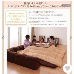 ローソファー 7万円程で購入 合計3ヶ月程度の使用