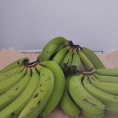 恩納村産バナナ　1,5キロ