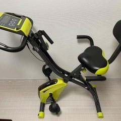 アルインコ AFB4309 GX コンフォートバイクⅡ