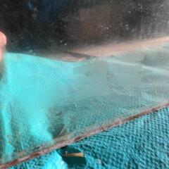 店頭用　戦前　サクラビール　ミラー　鏡/ミヨシレモン　酒屋　