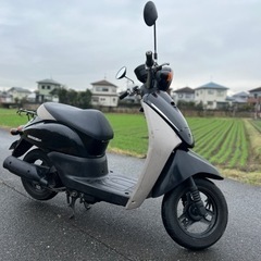 ホンダ　トゥデイ　インジェクション　自賠責付き　早い者勝ち　機関良好